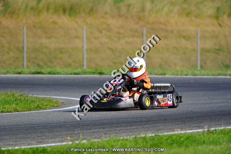 DSC_ (922).jpg